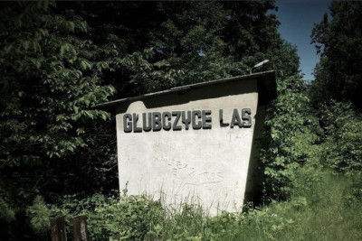 Las Głubczycki (Las Marysieńka)